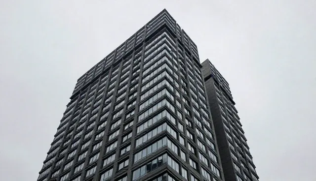 伊春网站建设中传播效率的适用情况与限制